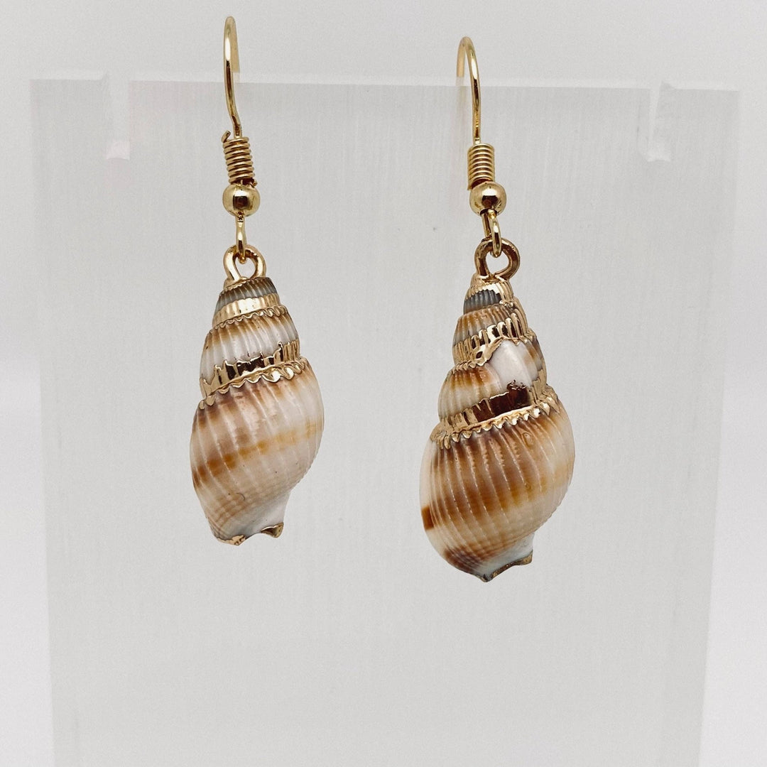 JewelryConch Shell Earrings