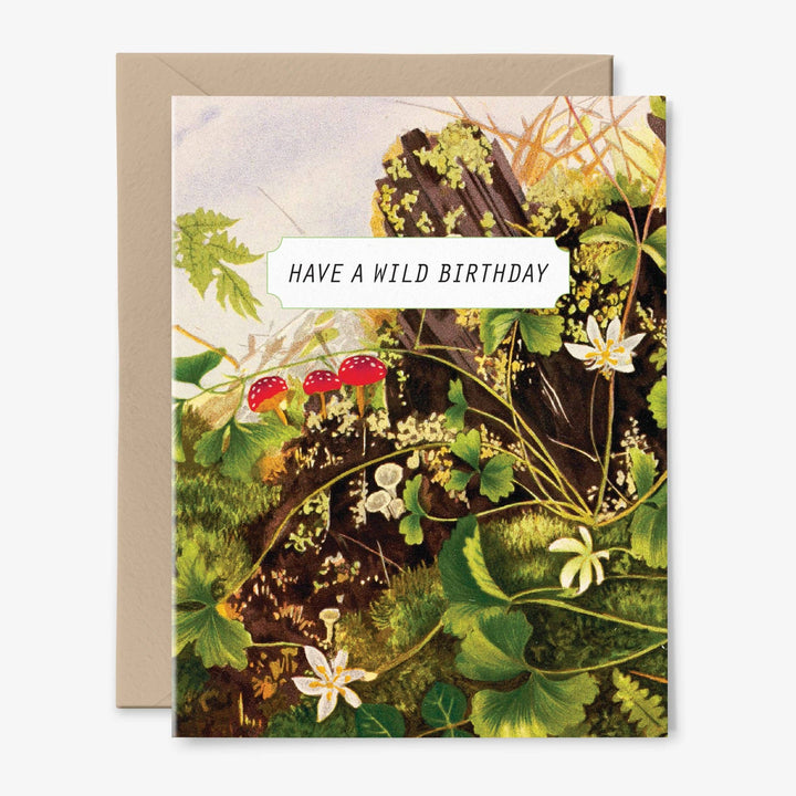 CardsHave A Wild Mushroom Birthday Card