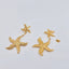 EarringsStarfish Pendant Earrings