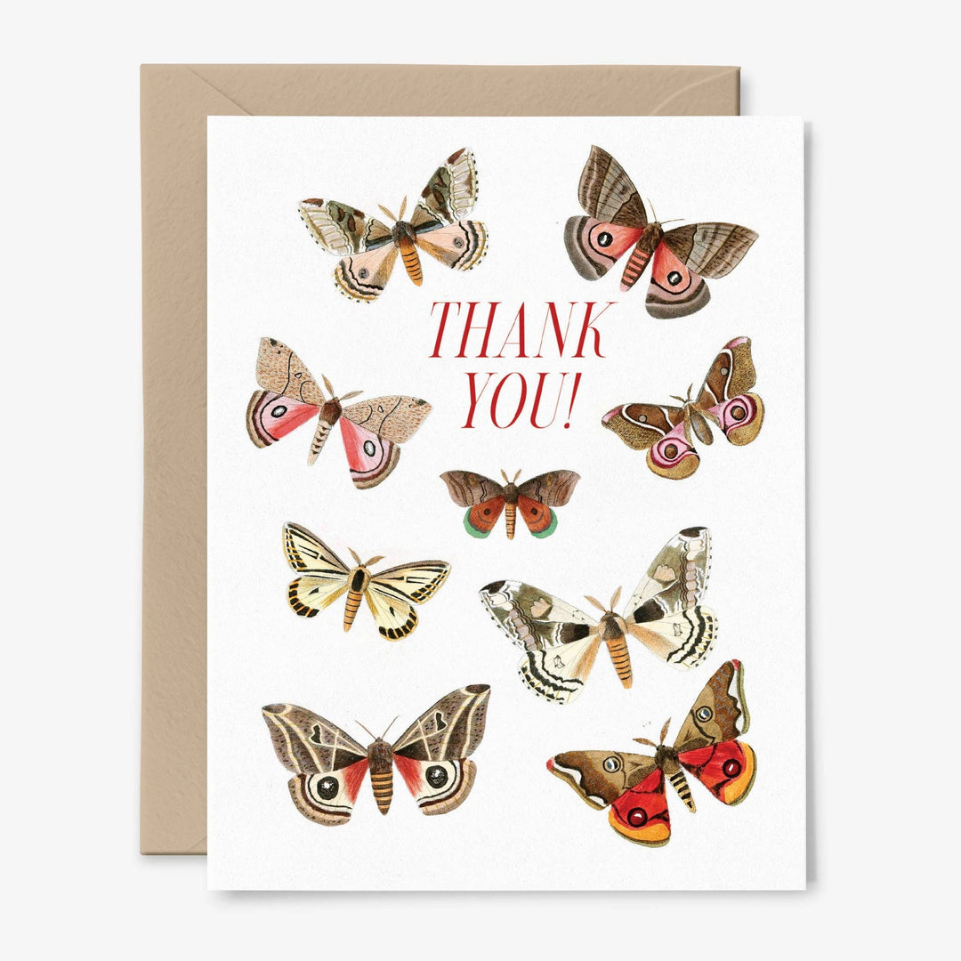 CardsThank You! Card Moth Card
