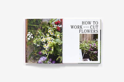 BooksField, Flower, Vase: Arranging and Crafting with Seasonal and Wild Blooms